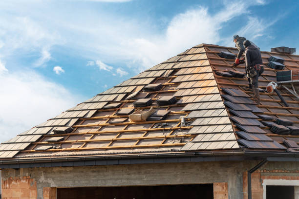 Roof Moss and Algae Removal in Allyn, WA