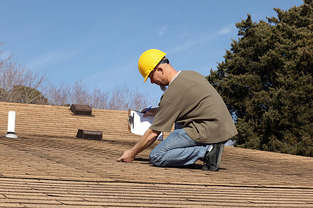 Best Roof Moss and Algae Removal  in Allyn, WA